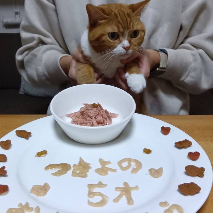 775cccd9 448a 4097 aa6f bc3b70d6837d 1765709574172