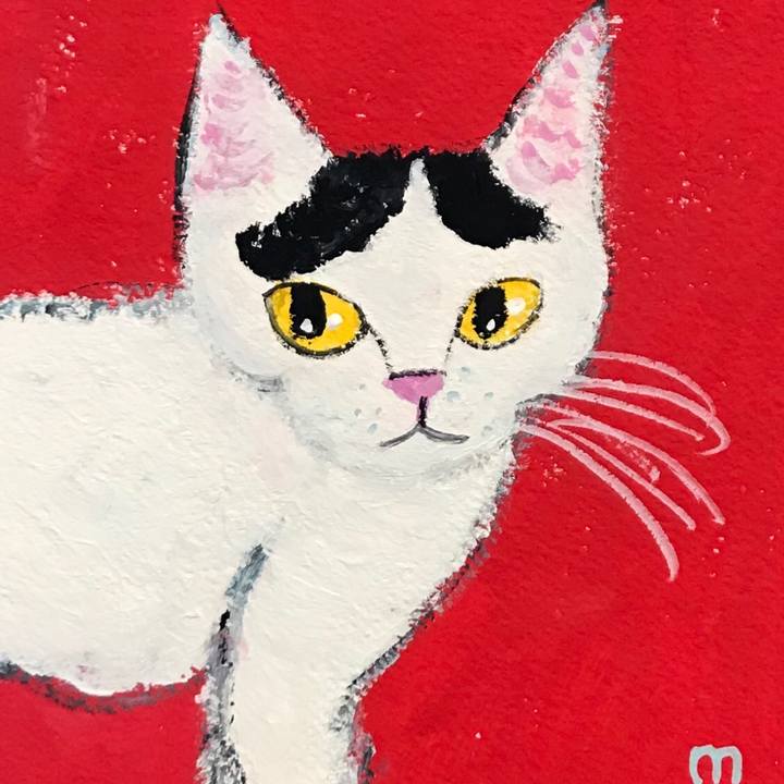 775cd123 d44f 47ed 9800 5c23b5862dd4 1574863072546