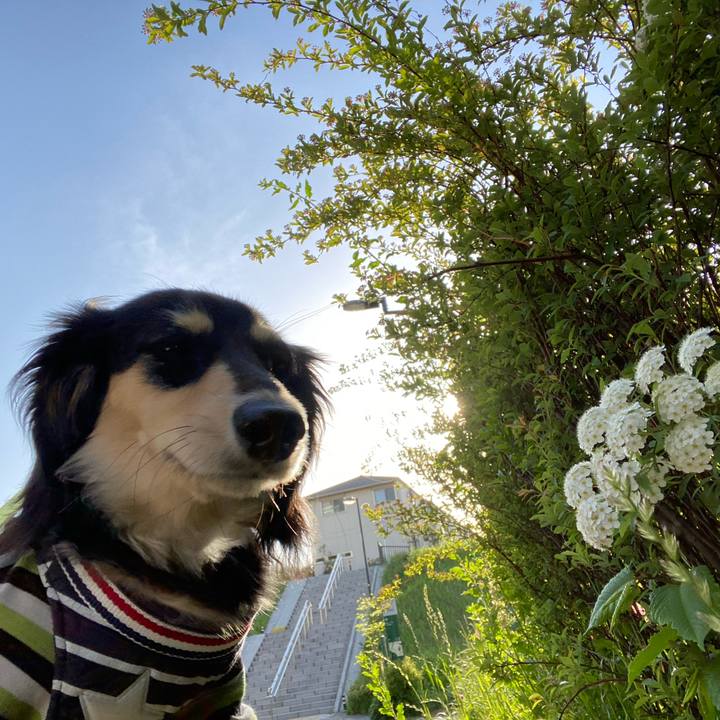 775cd55f 88d1 463e ab4c d5d1019a62db 1681717645220