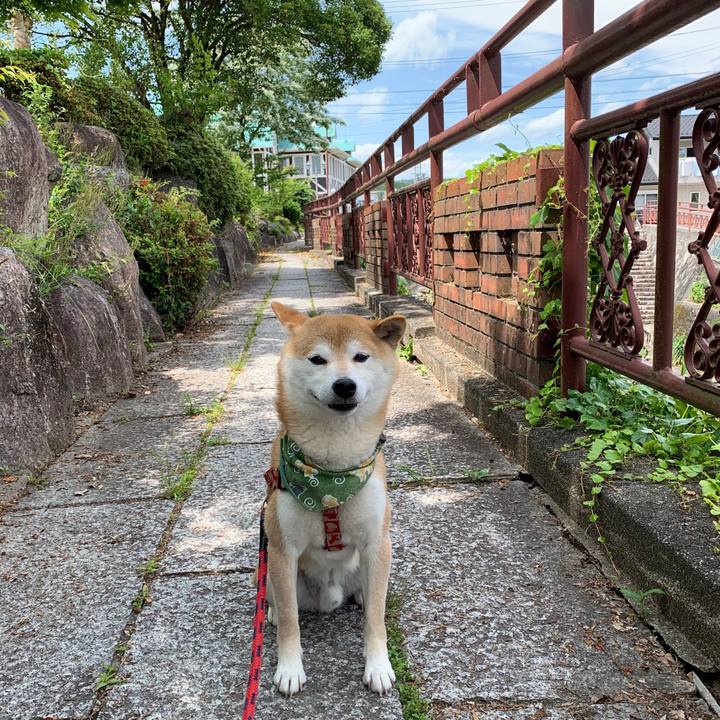 775ce99b 5c73 4959 bc26 54c3bd3b0952 1590569451316