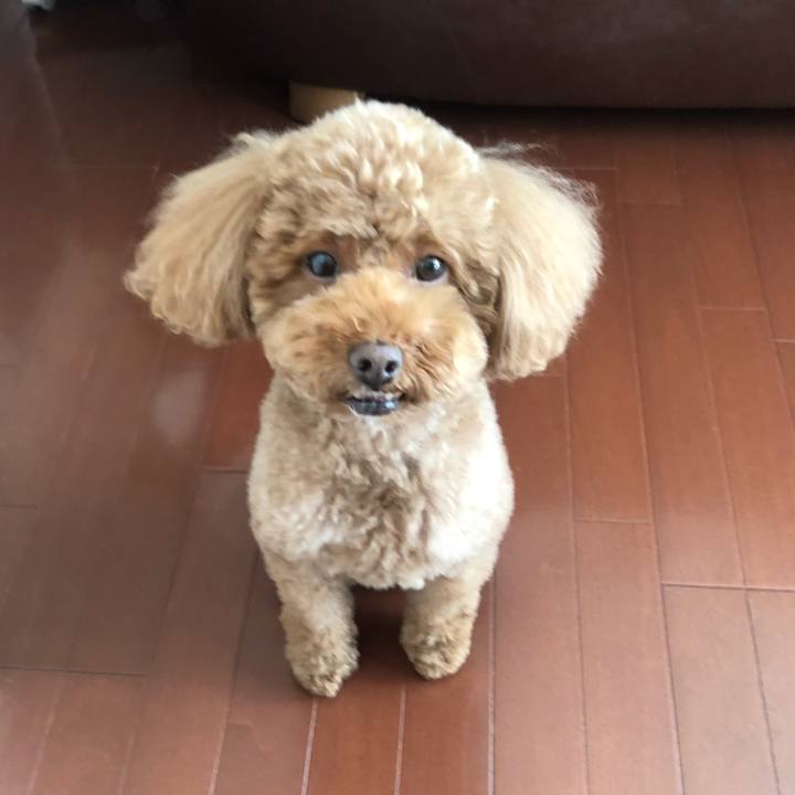 775cee16 d8a8 4ad9 a89a 022c7c99a71c 1515891868574