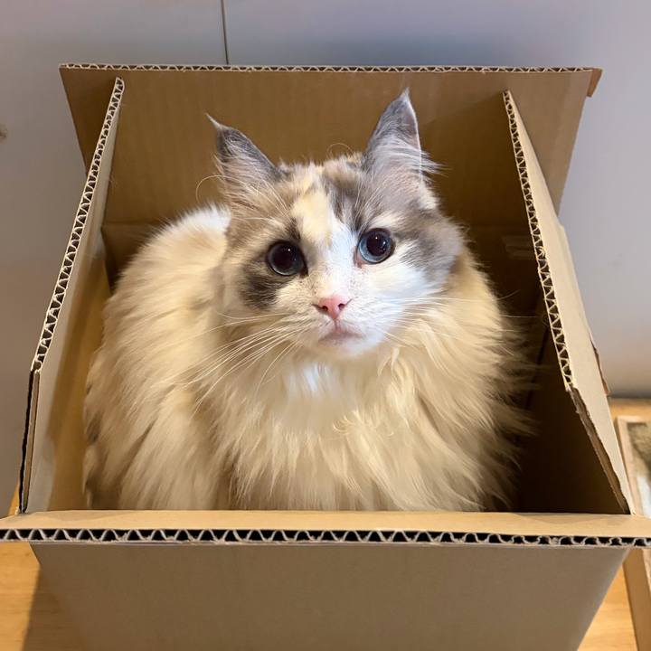 775d27c1 9e0f 4131 a1c1 0fcf32d4924d 1770523244028