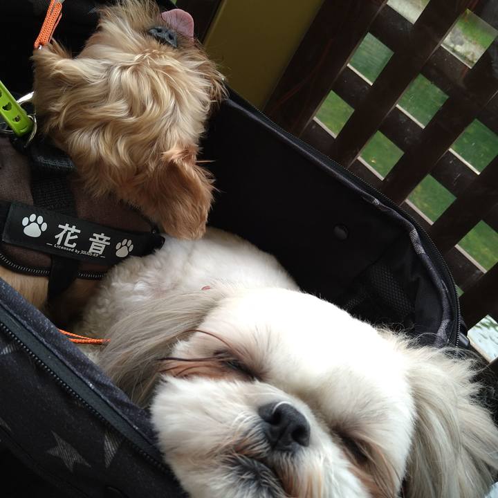 775d3930 91b0 4422 85bd 5fe792a42bf8 1624767553614