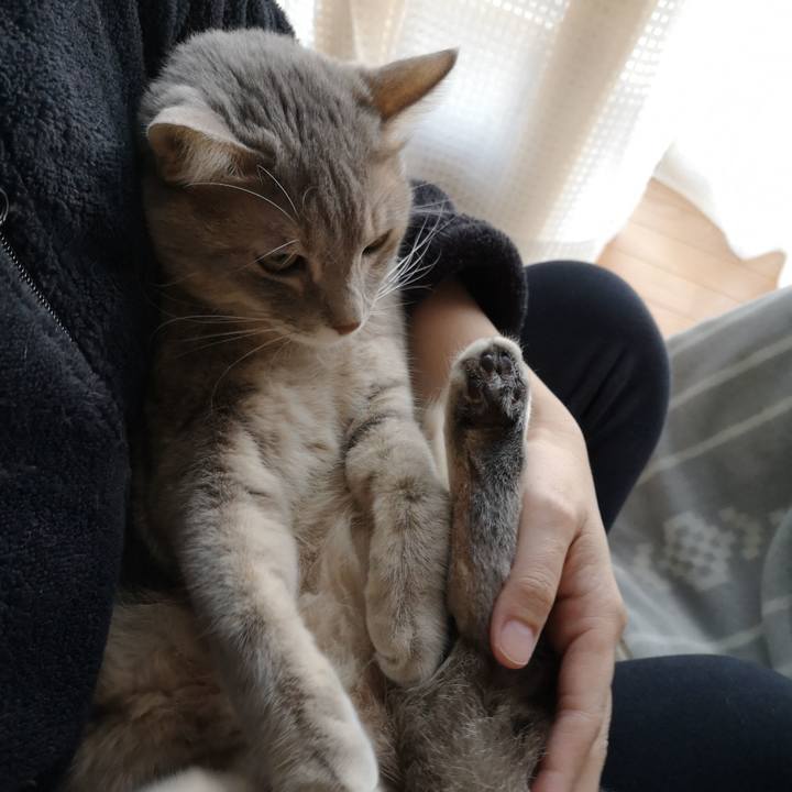 775d5605 93d6 493c 854b f3842cee7f2a 1573893935649