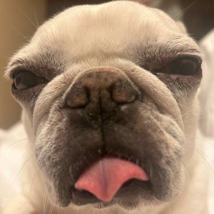 775d927f 543e 499e 8267 f87449a5fe3b 1728726475897