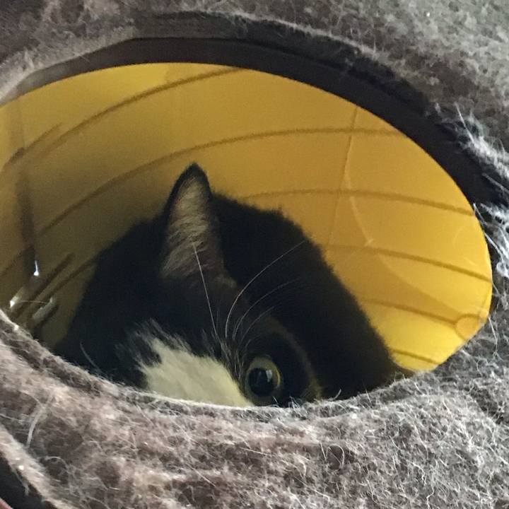 775dbc3a 74c7 43fb b79f bf6702799f40 1744884237159