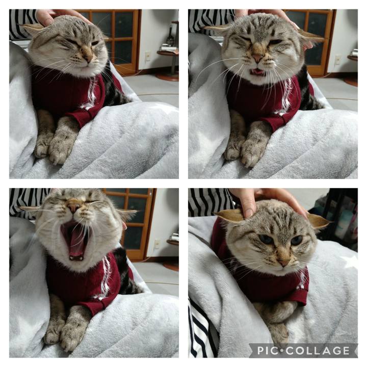 775e0605 38ec 48c6 b047 92d8bada5672 1708176843122