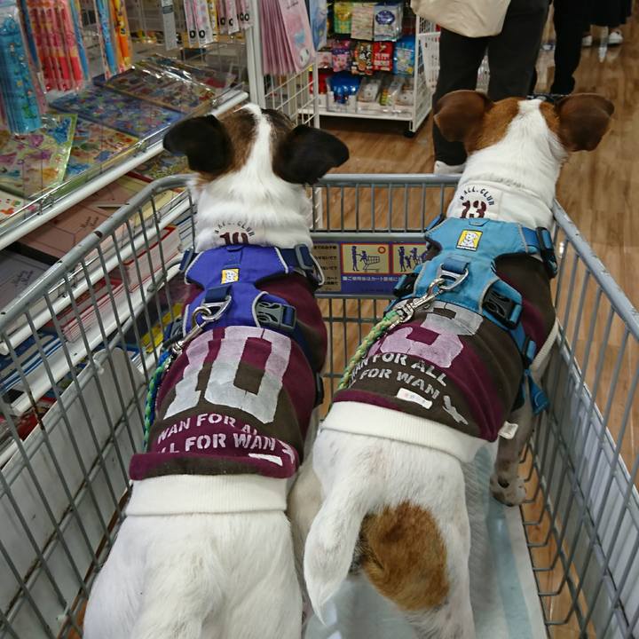 775e6ccf 7439 4058 8899 ec0fbe95a80e 1615023337186