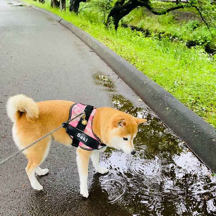 775e8287 9b95 4120 baba c700bf789d1b 1655255148889