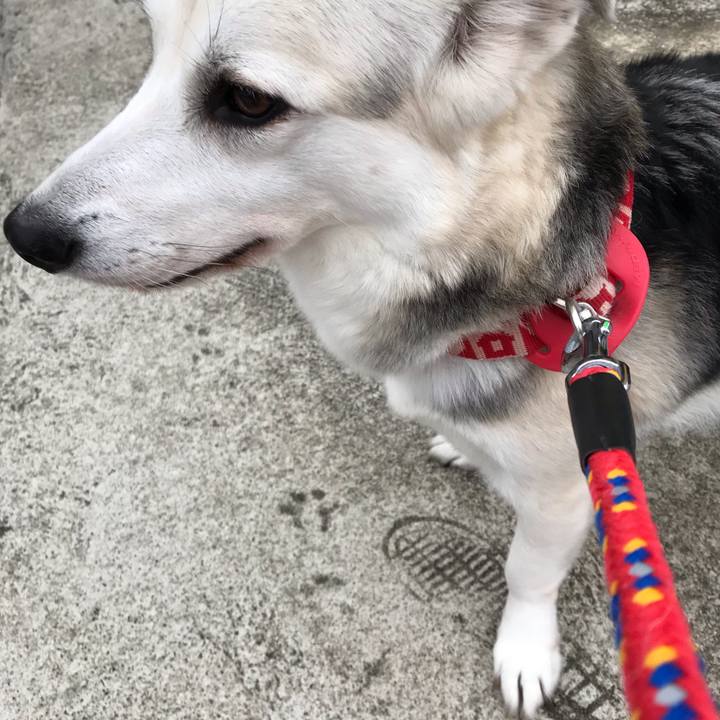 775e8288 ad3c 4503 942f 789e019d8b1c 1575272428913