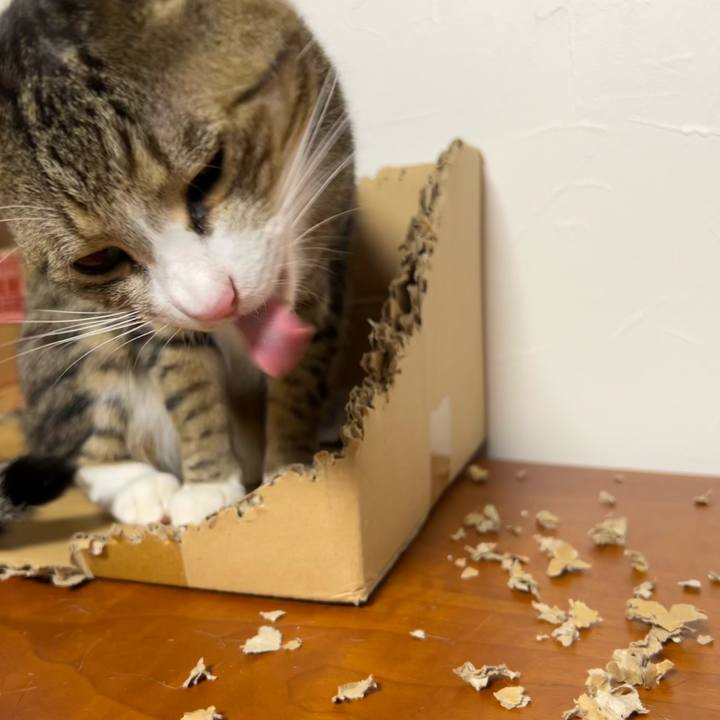 775eb78a 4f6e 4816 af42 9376c675b1d9 1752749771991