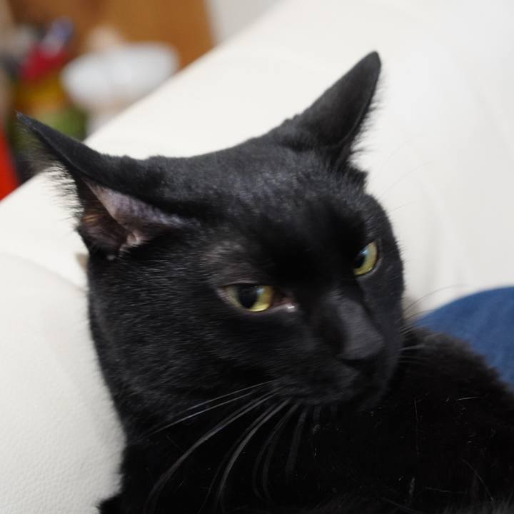 775f06d7 8803 4321 8907 3c81a6108218 1570146085838