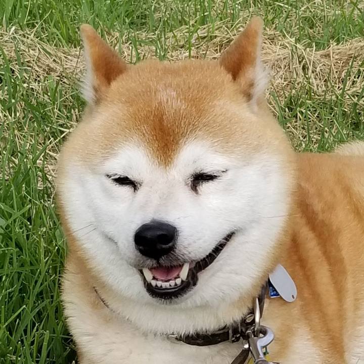 775f21f0 5fe3 4e92 a34b f97d2034bfd5 1622964733774