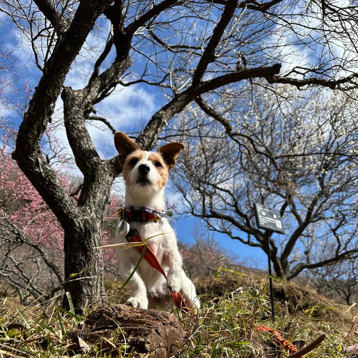 775f2877 4fdb 4aba 8d8a d5084428db28 1769857482677