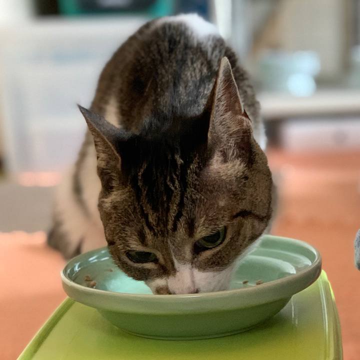 775f39fe e860 4cd0 8dcf 39c95ea0d26a 1594516441046