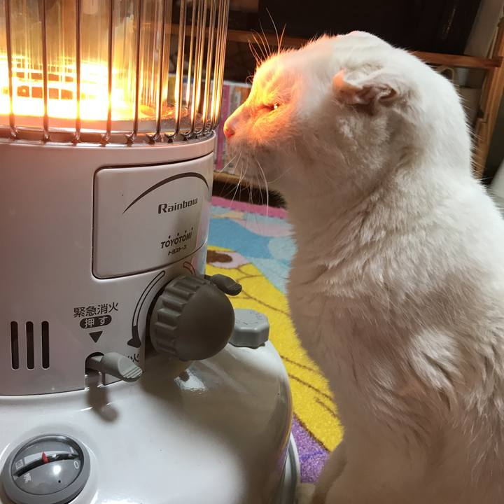 775f4c85 794a 4648 890c 4359e97dd17d 1517472619775