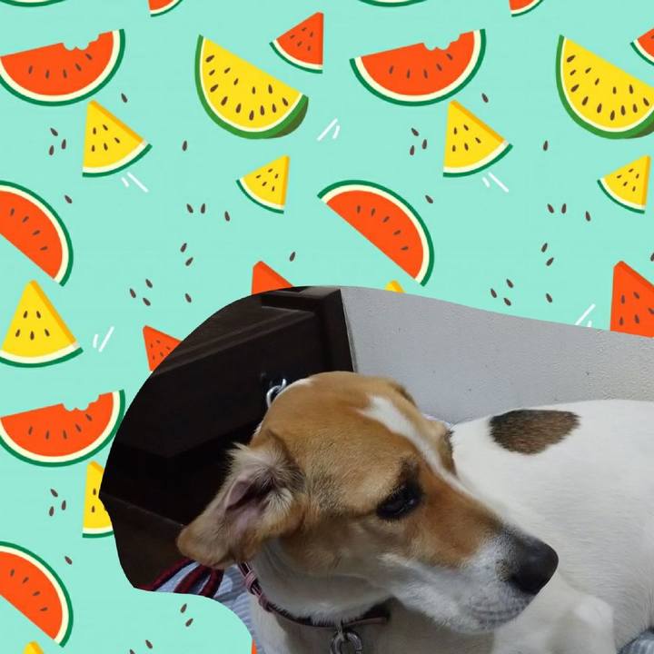 775fadc5 6d70 4031 ab5c 8b2ffd5daa17 1589980152413