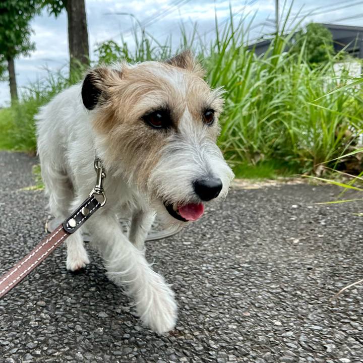 775fc61c b877 408e aa91 d86ed21b5cc7 1727702743275