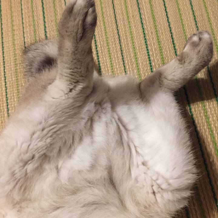 775fcaca 7122 4f7d be6a 647909d13ae7 1569153646919