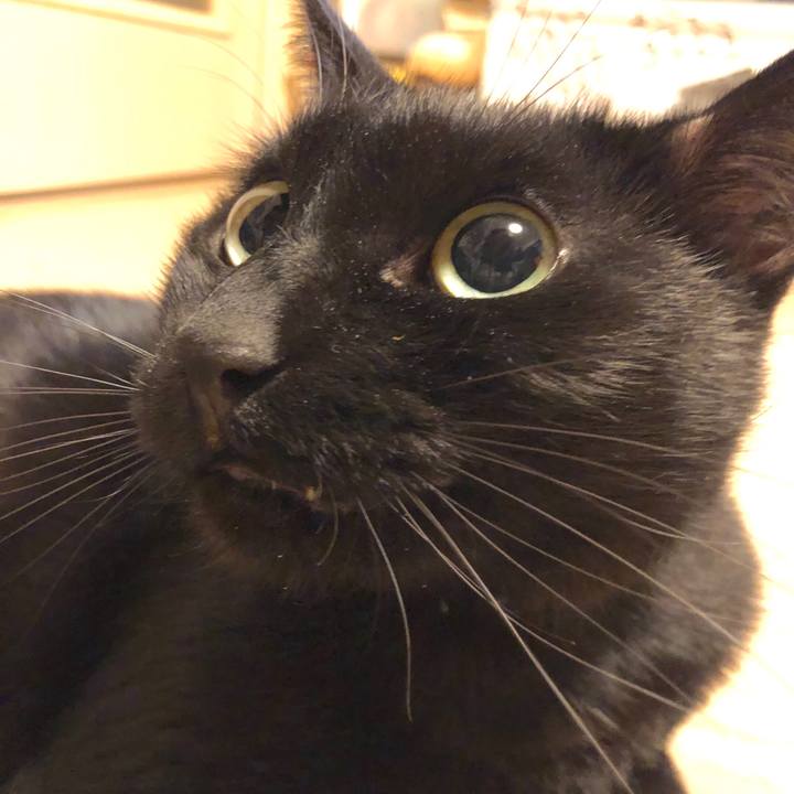 775fe757 b25c 4975 a3d2 ed8fe1b18660 1577529726566