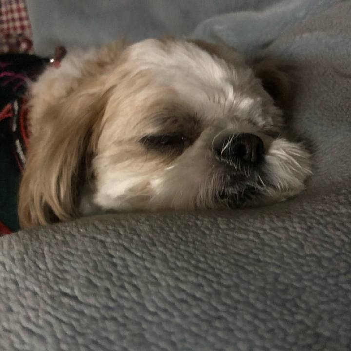 77603000 427f 4fea 81d5 7ed7f6a25ecc 1603921383744