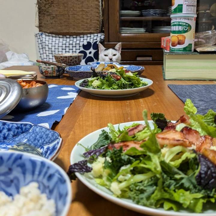 77605a45 860b 4eb8 bca5 d52767aaf1ab 1735435944250