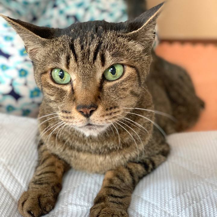 776063e4 e7c4 4483 a7a1 e4f93bce5467 1592007240338