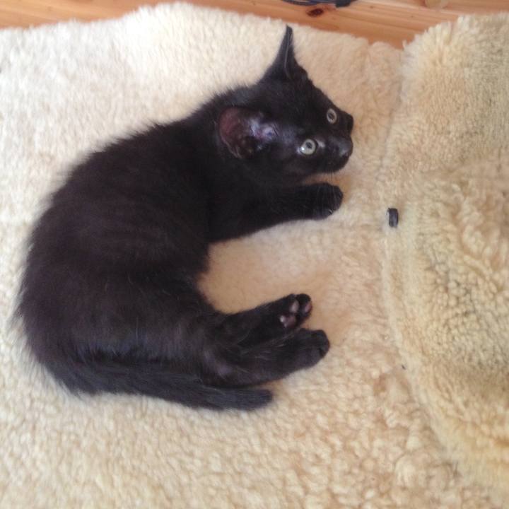 77607a71 5a00 4e1e 875e 1221c067104b 1619612248874