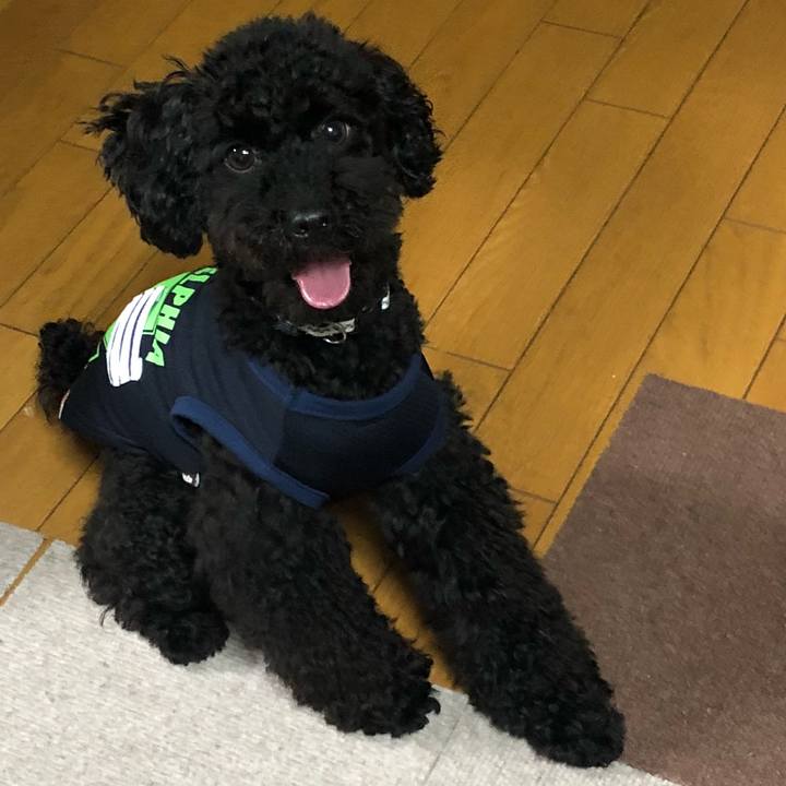 776085f0 7170 4e8e b4bd 62720c41c766 1526720893011