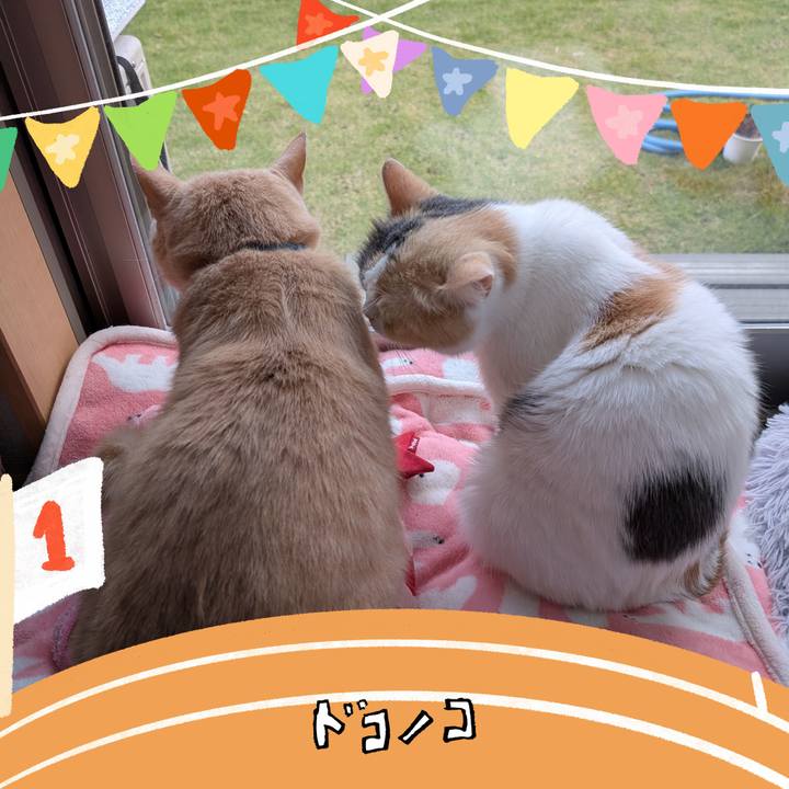 77608708 580a 4014 9fc4 d93e01a9978b 1762776892908