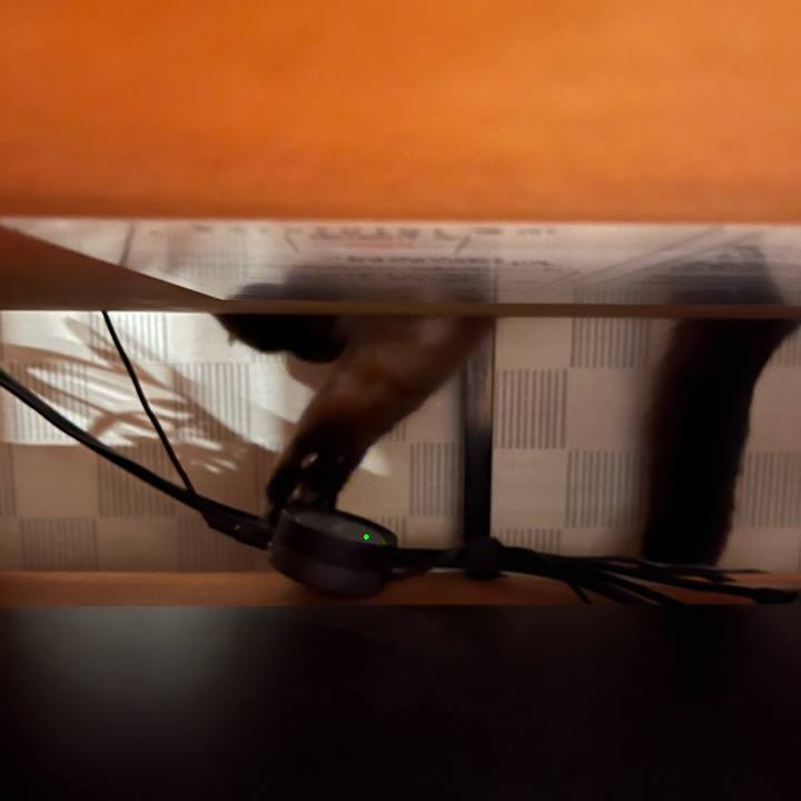 7760a853 6dd6 4f1d 8759 5c22228214ba 1639873820782