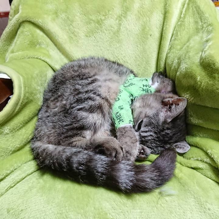 7760aa99 4340 468a 8808 55990ed3d33c 1587263475755