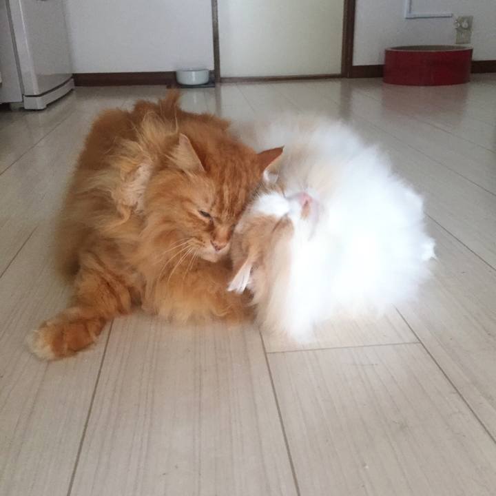 7760b8d6 6558 486a 8a77 6df6c2c00ca3 1545260963852