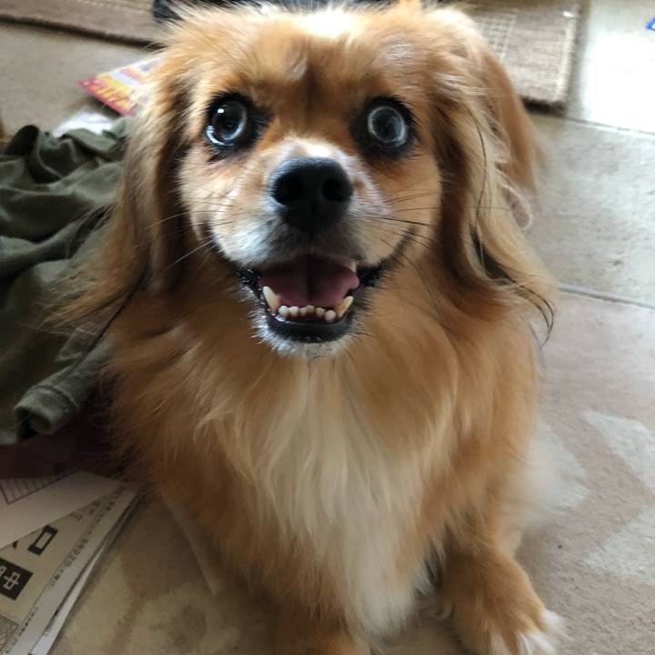 7760ce0d 14e1 4423 9dc6 0667fa0c1e71 1566602725815