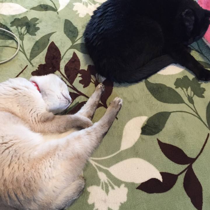 7760edd0 9467 4a5d a5d1 1b196e199a51 1589146723909