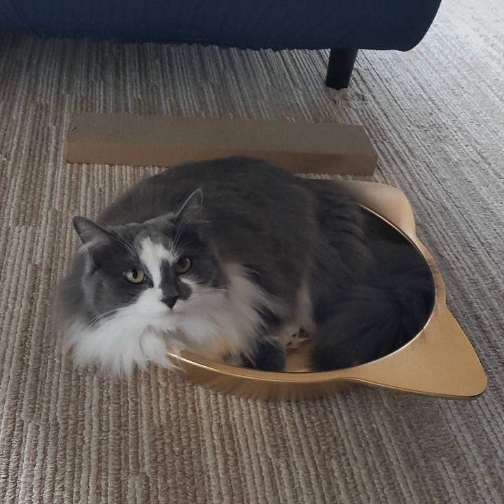 7760f501 63cb 483d 89e5 68a0863f5828 1622850135539