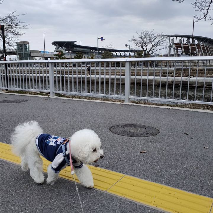 7760fdd2 85a7 43f7 8058 024822af28f8 1767515568731