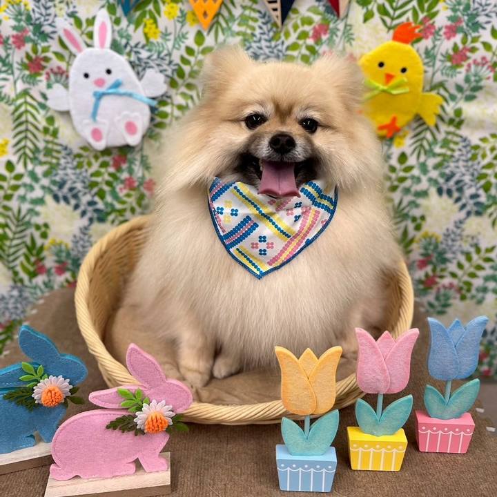 77611b3f a157 46e3 a6f8 e7ac88ead640 1744169863994