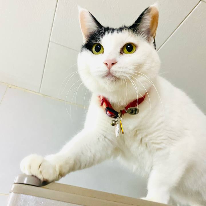 77611e93 917d 4228 9a19 e5cf8506280d 1735617407166