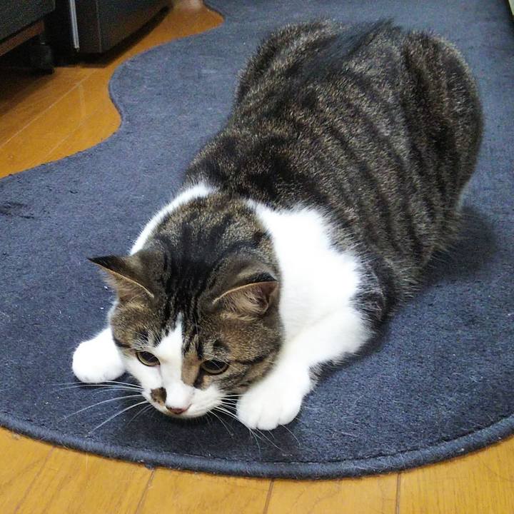 776126bb c33c 429f 84b3 58b66417698d 1655989201785