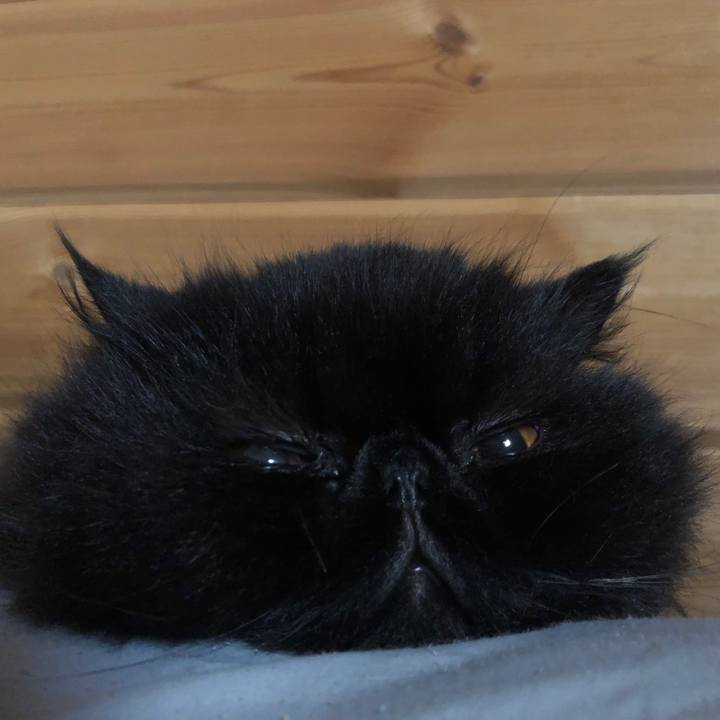 77614d9b c981 4547 8795 ecd2bd788d06 1633348954037