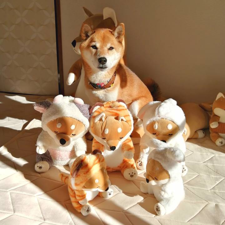 77616cac b009 4c2d 8008 6f9da8b1d246 1672304027752