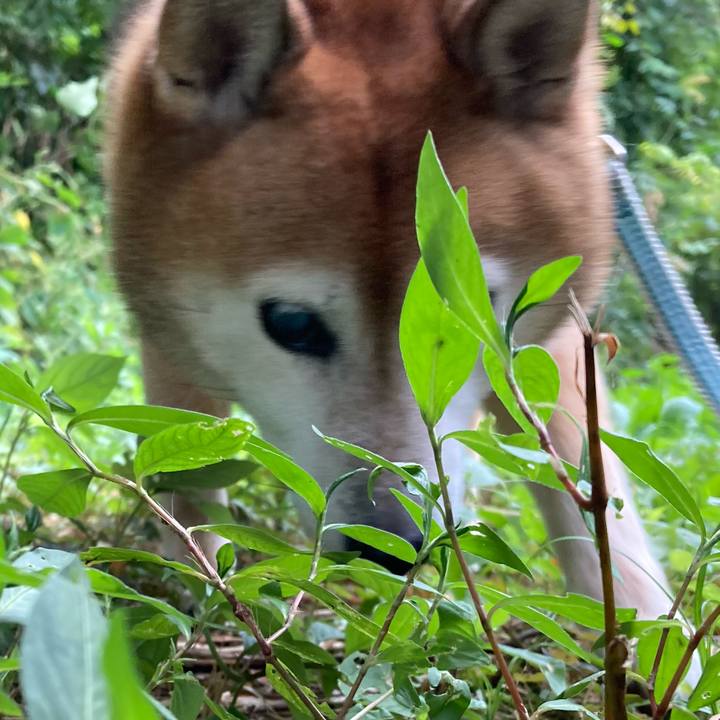 7761d48a 9b2c 47af 954c ca54a1eb924b 1727222897344