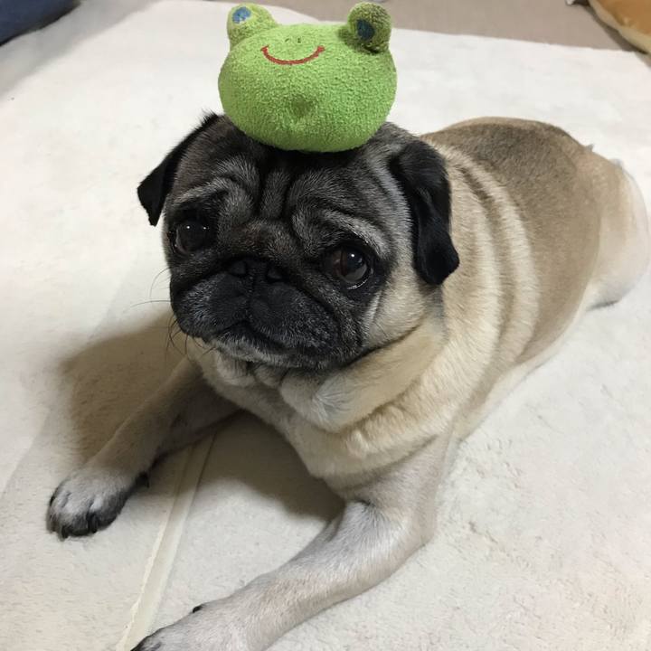 7761dd0e 08c2 4e70 b461 902b0fd73fdd 1585973618808