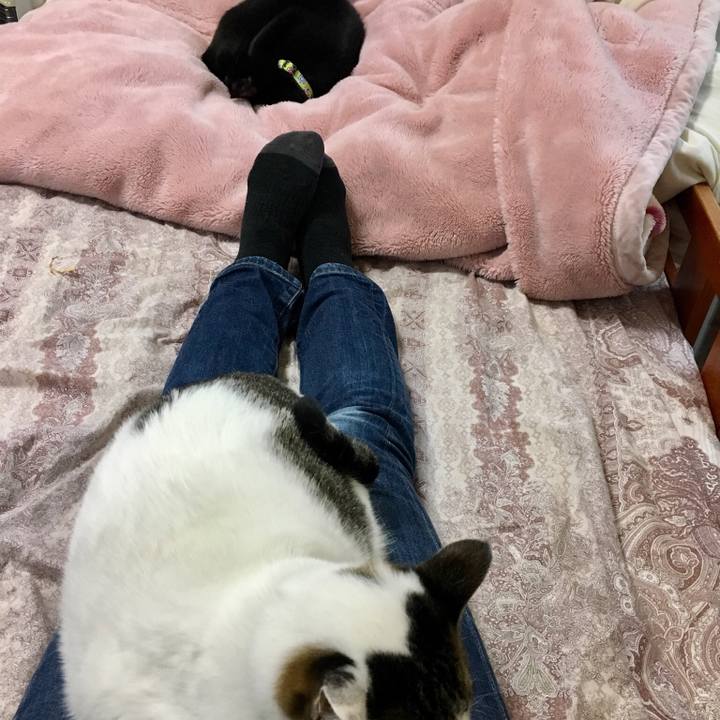 77625c7f 4d98 44f2 9c45 5951caf1fc48 1518598122189