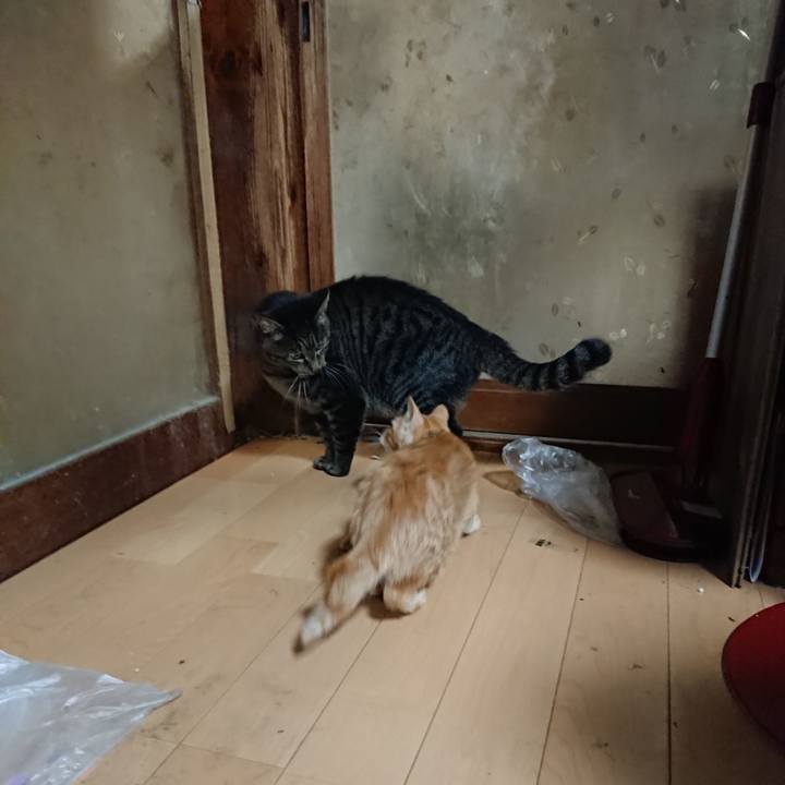 776284e9 533d 44f6 934c c1970e0a246b 1634468052306