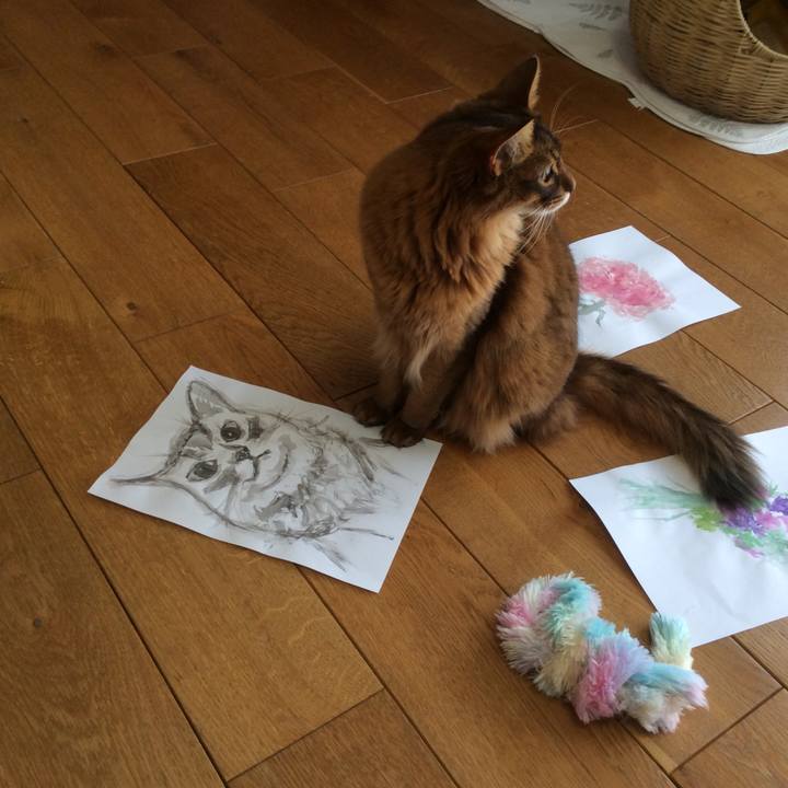 77629c66 b114 4e6a be77 df039b12d2e9 1618800701593