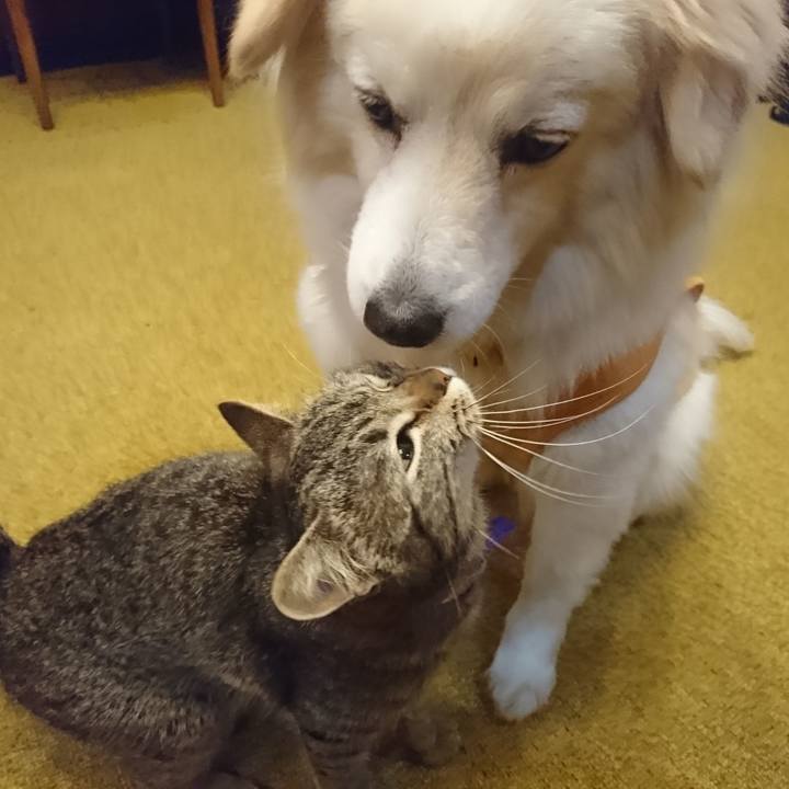 7762bbc9 0ad9 430f 935f f797833d4dec 1554813536729