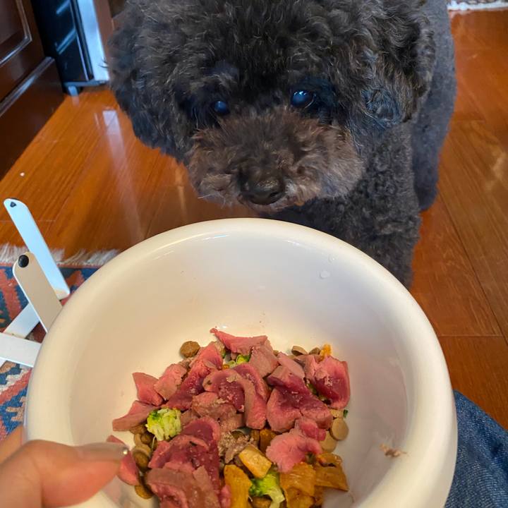 7762f0aa 6d72 42ed a0b6 4521407375d6 1633575721376