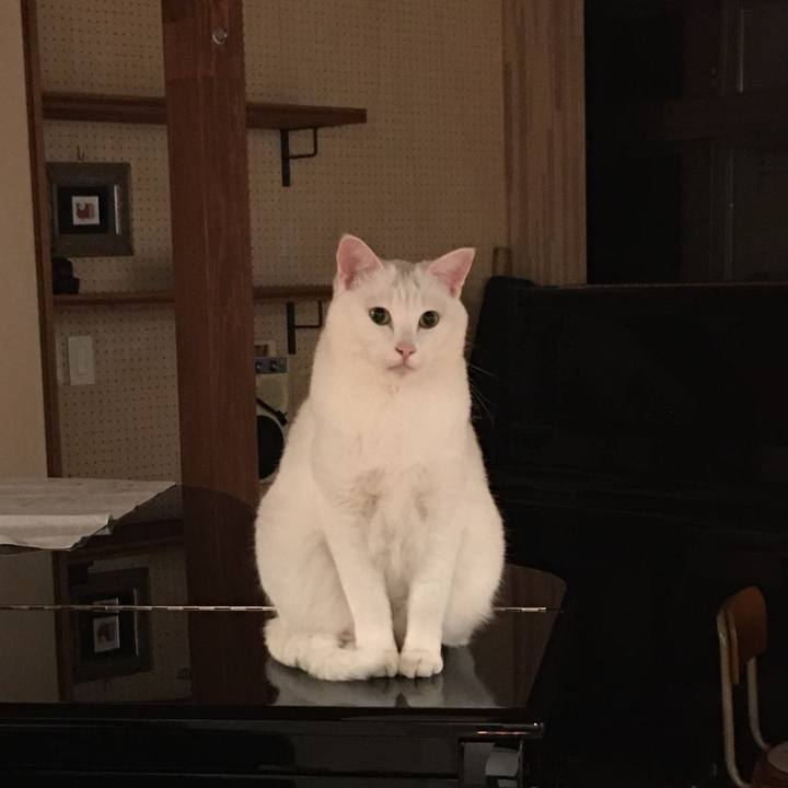 776309bd d9b9 4dbd 9d74 55410872140d 1579687663743